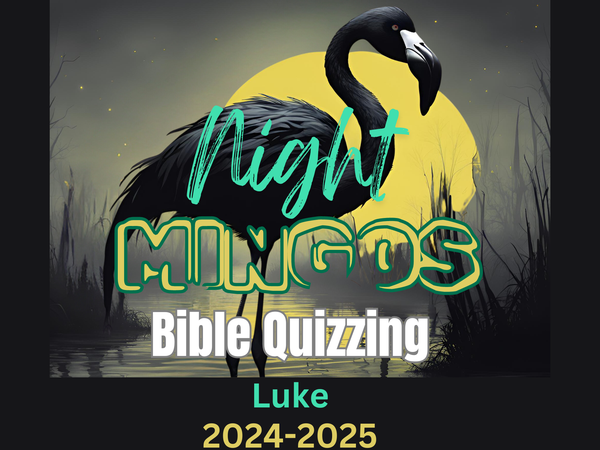 Teen Bible Quizzing Practice